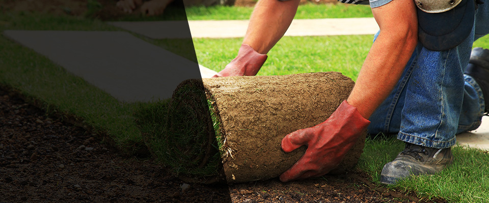 Canonsburg Landscapers